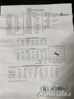 Weatherby Mark 5 7 mm Remington Magnum