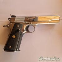 ...Altro | Non elencato Para Ordance .45 Auto Rim