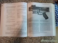 STURMGEWEHR FROM FIREPOWER  TO STRIKING POWER