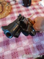 S&W ...MOD. 19...cal. 357 Magnum  |  9x31mmR  | .353 Casull