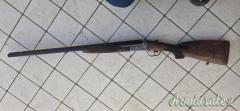 Franchi Alcione  12