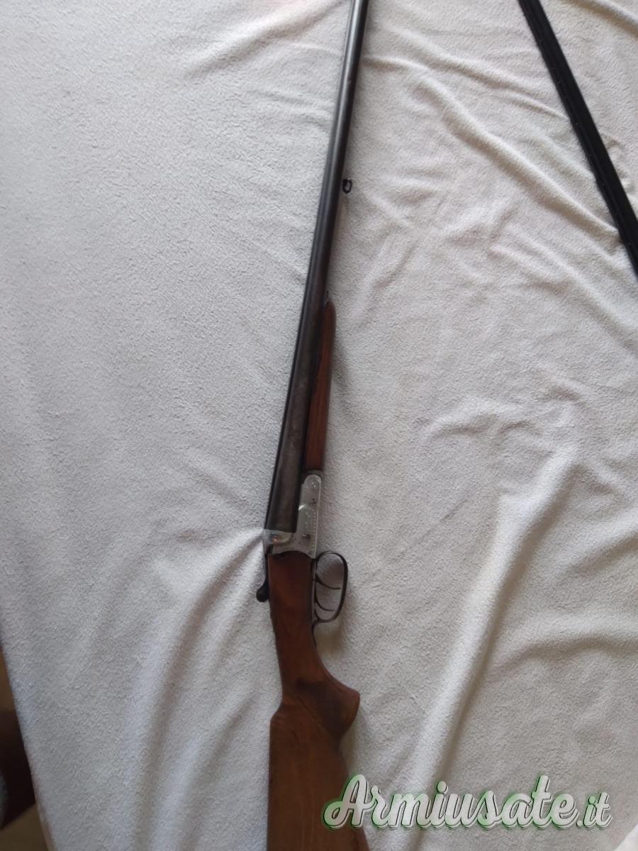 Zoli Antonio 12 Zoli Antonio 12