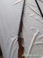 Zoli Antonio  12