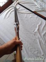 Zoli Antonio  12
