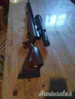 air arms