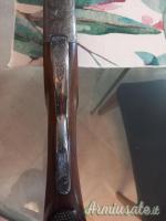 Zoli Antonio Sovrapposto  12