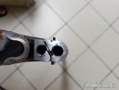 Rizzini Br110 light .410