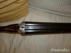 Sauer giustapposto 12