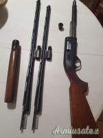Beretta Urika 12