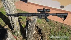 Bushmaster Xm15 target .223 Remington
