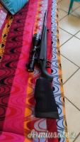 Remington 783 .308 Winchester