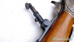 Chapparal  1876  calibro 45\60