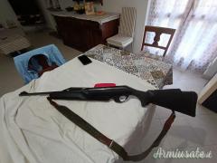 Beretta semiautomatico 12