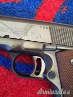 Colt National Match .38 Special  |  9x29mmR