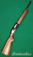 Beretta 301 12