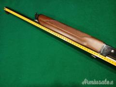 Beretta 301 12
