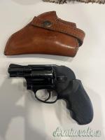 S&W Bodyguard