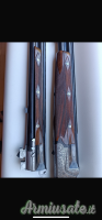Piotti Armi Holland  12