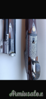 Piotti Armi Holland  12