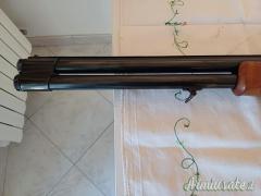 Sovrapposto Franchi Variant
