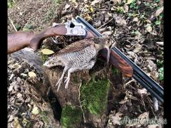 Beretta 693 calibro 20
