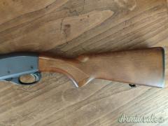 Remington 870 espress .410