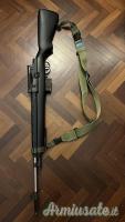 Springfield M1A National Match + calciatura Mc Millan .308