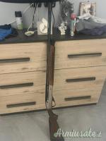 Benelli Ethos 20