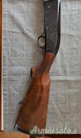 Beretta A302 cal12