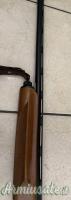 Beretta A301 20