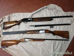 Beretta 301 12