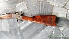 Vendo Rolling block 1867 svedese militare