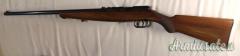 Beretta SPORT .22 Long Rifle
