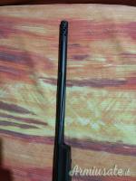 Franchi horizon .223 Remington