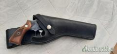 Ruger | Sturm Speed-six .357 Magnum