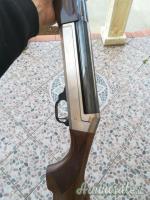 Benelli Raffaello 12