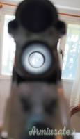 Beretta S55 12