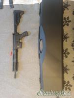 Armi Dallera Custom M5 special force .223 Remington