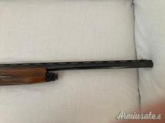 Benelli  Raffaello CAL 12 Black