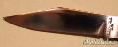Coltello Protector Surgical Japan