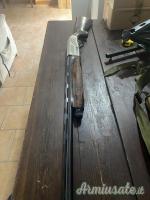 Beretta al 391 12