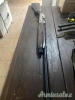 Beretta al 391 12