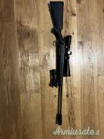 Ruger | Sturm American .308 Winchester