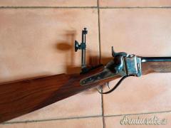 Sharp long range shooting 45/70 Pedersoli