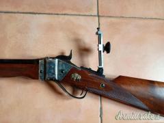 Sharp long range shooting 45/70 Pedersoli