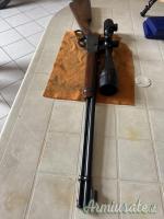 Winchester 9422 .22 Long Rifle