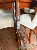 Beretta Silver Pigeon  12