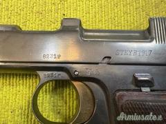 Steyr Hahn 1912, Polizei, 1917, 9×19 (9 Parabellum)