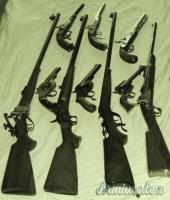 Pedersoli sharps mid range .45-70 Government