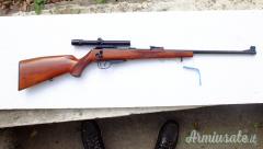 Walther | Carl kkj .22 Long Rifle